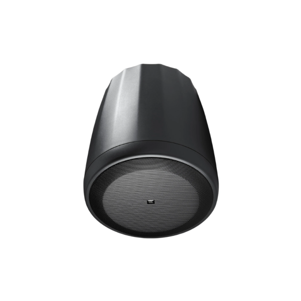JBL Profesional C65P/T - Altavoz colgante compacto de rango completo