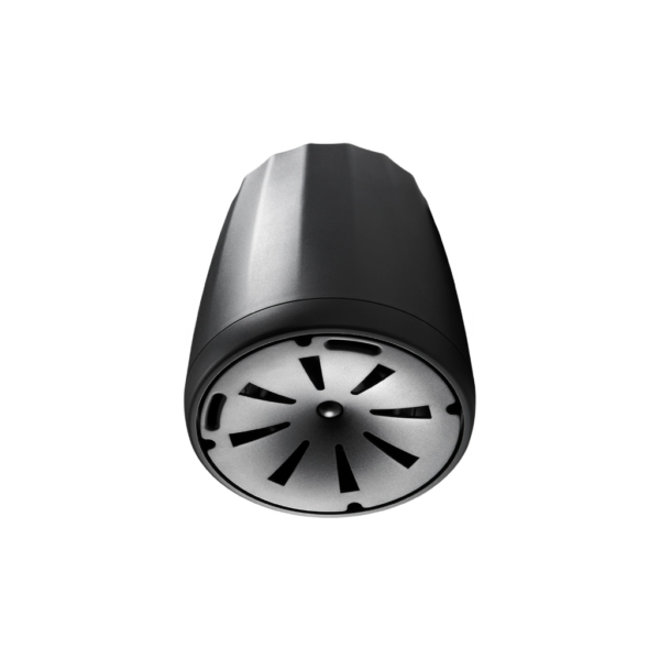 JBL Profesional C65P/T - Altavoz colgante compacto de rango completo