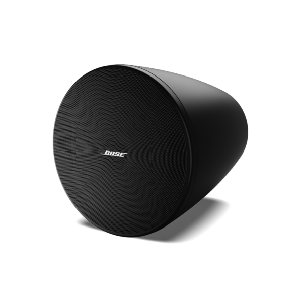 Bose Professional DesignMax DM5P - Altavoz colgante