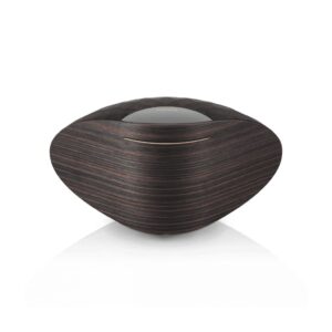 FORMATION WEDGE_3 Formation Wedge Wireless Speaker